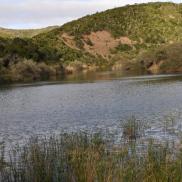 kikuyu_lodge_faunaflora_51.JPG