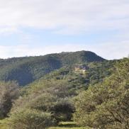 kikuyu_thelodge_28.JPG
